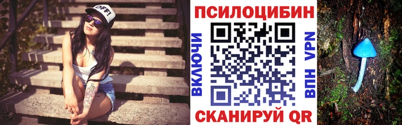 где продают Химки Псилоцибиновые грибы Cubensis