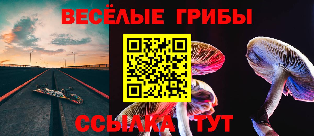 Химки  Псилоцибиновые грибы MAGIC MUSHROOMS  Вход с VPN 