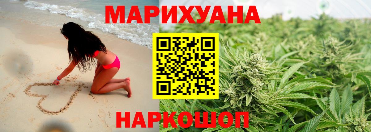 Конопля MAZAR  Каннабис планчик  Химки  МАРИХУАНА тримм  Вход с VPN 
